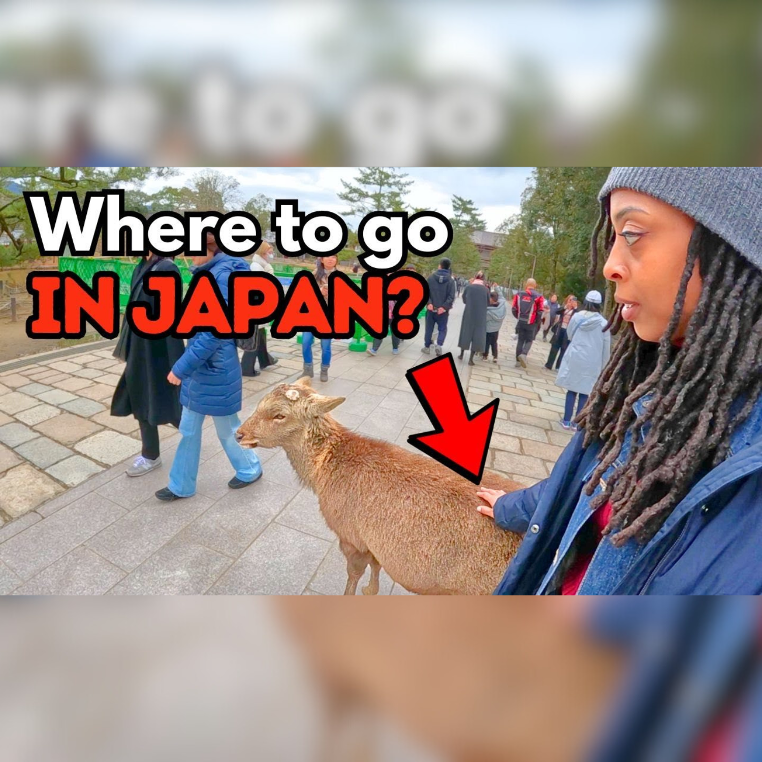 Where to Go in Japan? Here's Where I Took My Sister!